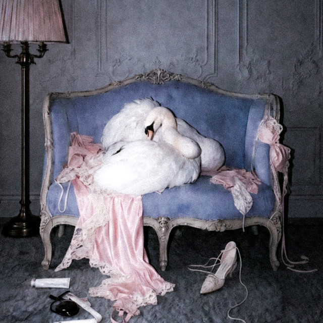 Image Cover